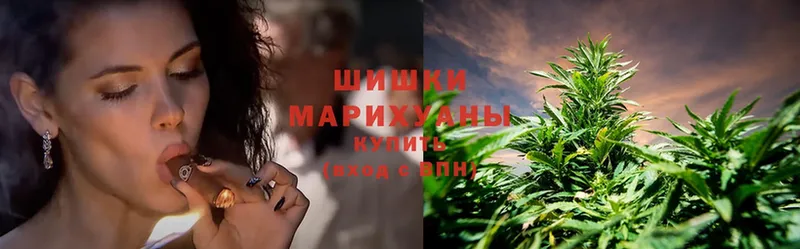 закладка  Губаха  Каннабис White Widow 